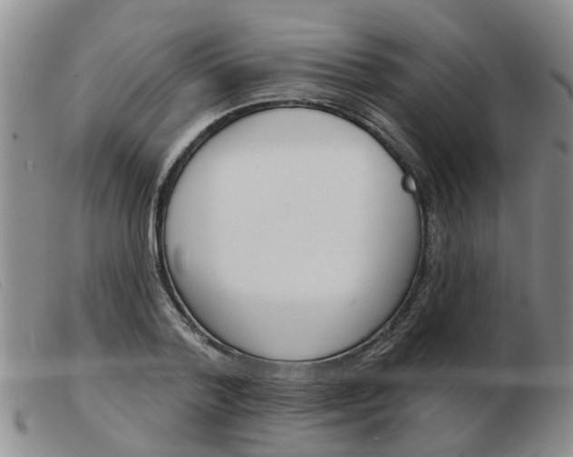 X0000103930788200809191122