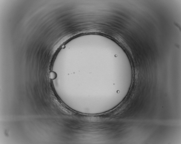 X0000103930789200809191122