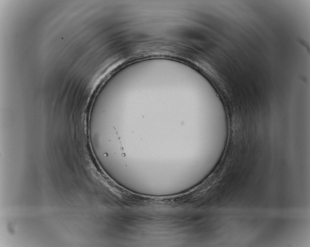 X0000103930790200809191122