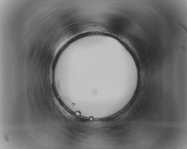 X0000103930791200809191122