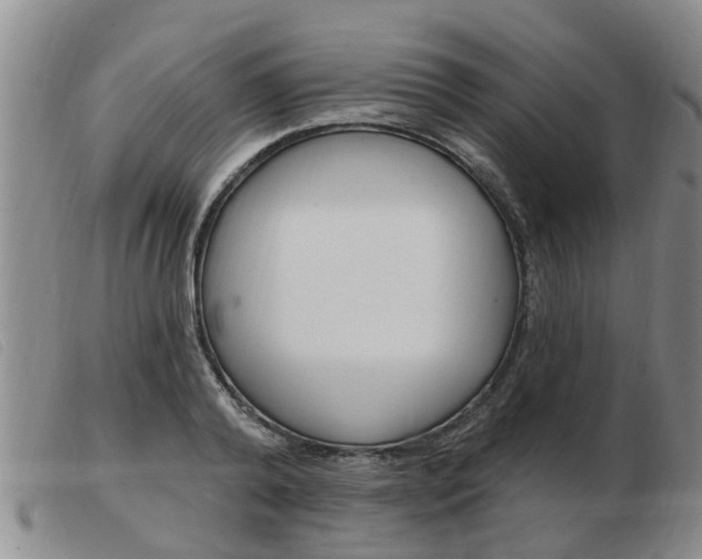 X0000103930792200809191122