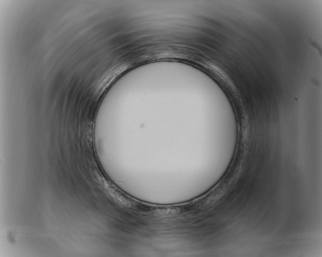 X0000103930793200809191122