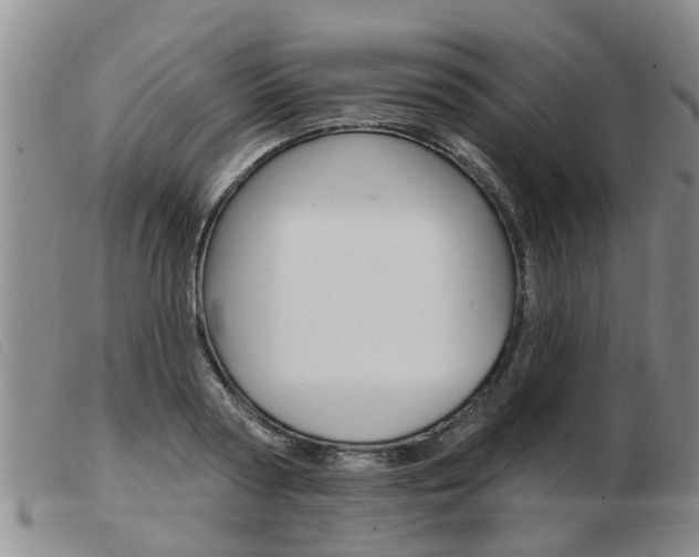 X0000103930794200809191122
