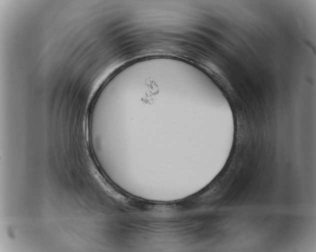X0000103930796200809191122