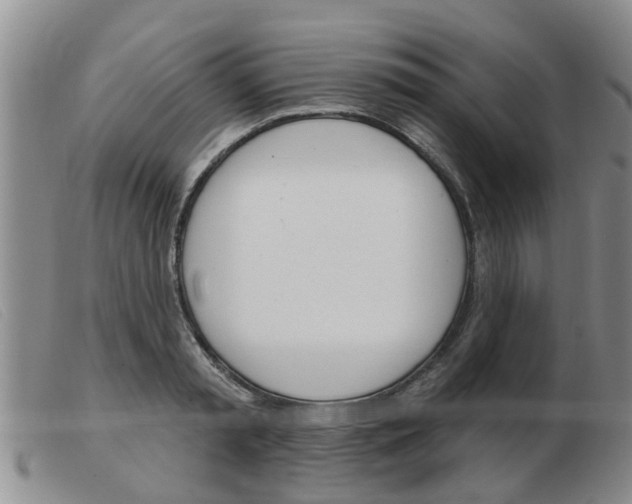 X0000103930797200809191122