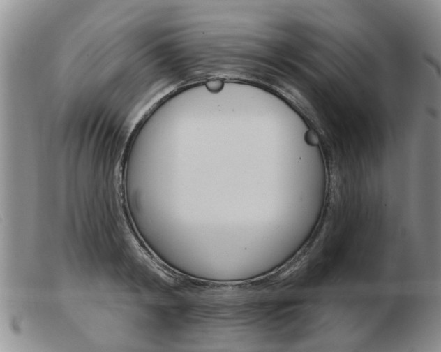 X0000103930798200809191122
