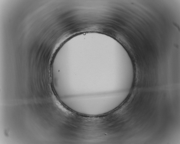 X0000103930800200809191122