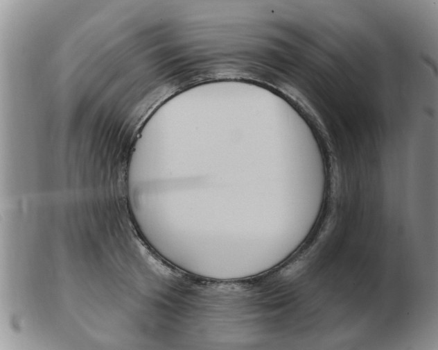 X0000103930801200809191122