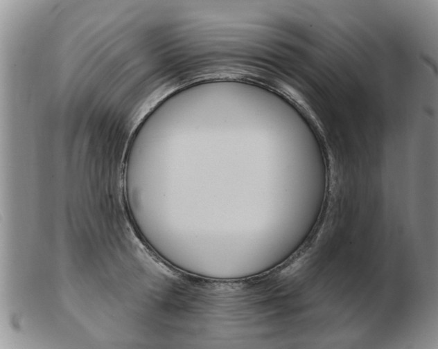 X0000103930802200809191122