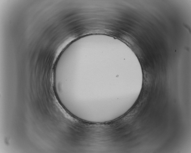 X0000103930804200809191122
