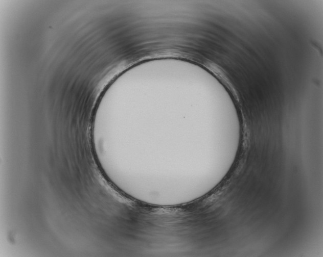 X0000103930805200809191122