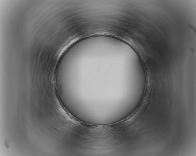 X0000103930806200809191122