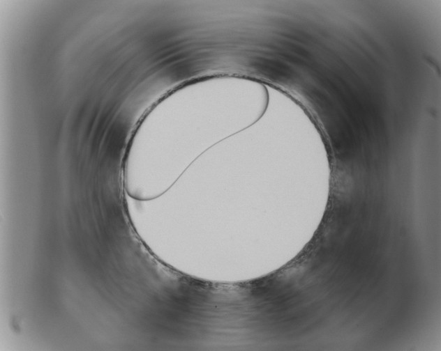 X0000103930807200809191122