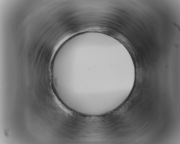 X0000103930808200809191122