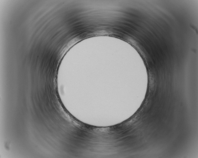 X0000103930810200809191122