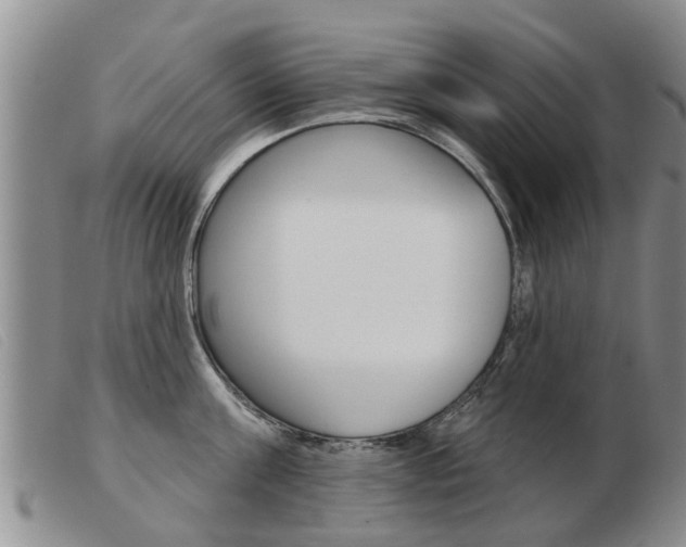 X0000103930811200809191122