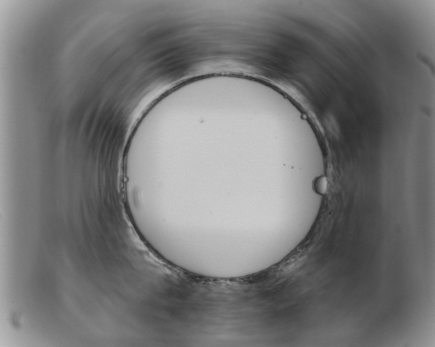 X0000103930815200809191122