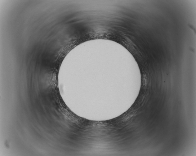 X0000103930820200809191121