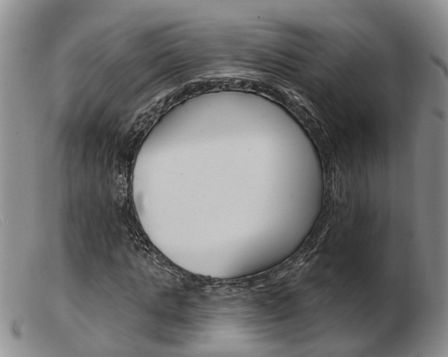 X0000103930821200809191121