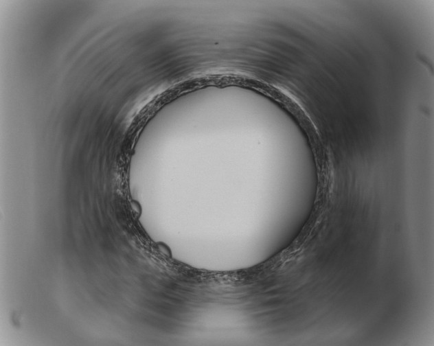 X0000103930823200809191121