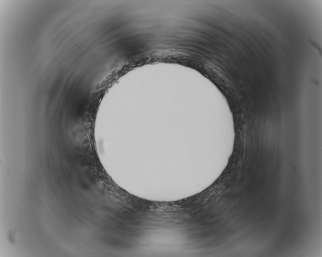 X0000103930824200809191121