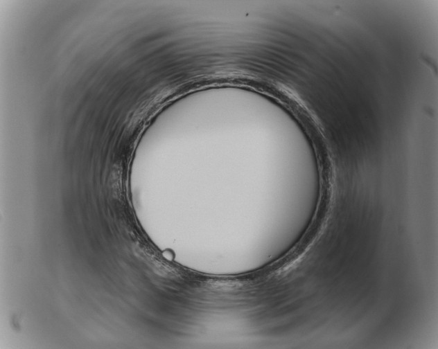 X0000103930825200809191121