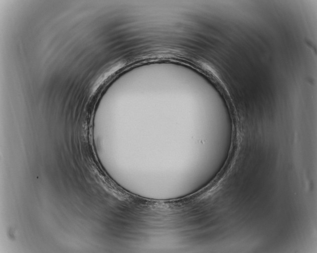 X0000103930827200809191121