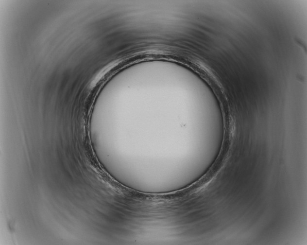 X0000103930829200809191121