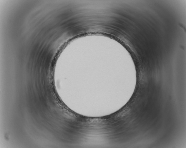 X0000103930832200809191121