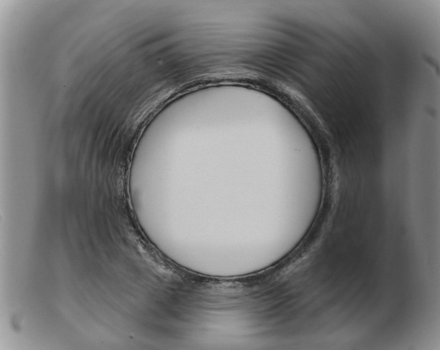 X0000103930833200809191121