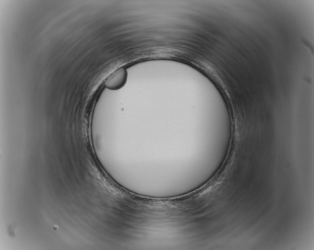 X0000103930835200809191121