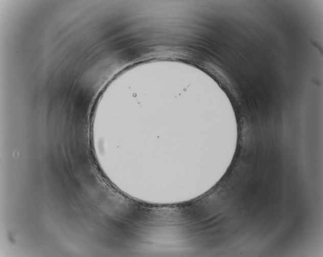 X0000103930836200809191121
