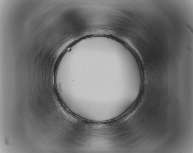 X0000103930837200809191121