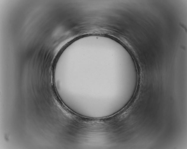 X0000103930838200809191121