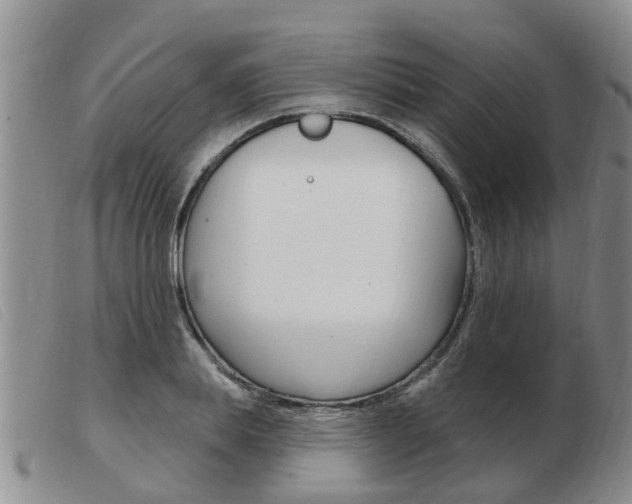 X0000103930839200809191121