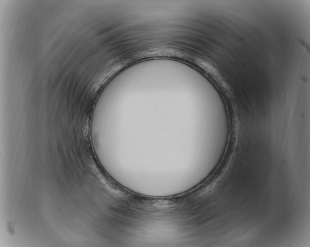 X0000103930841200809191121