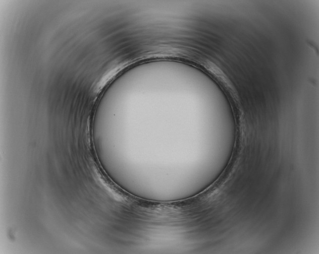 X0000103930842200809191121