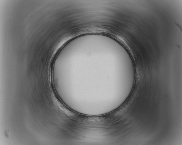 X0000103930843200809191121