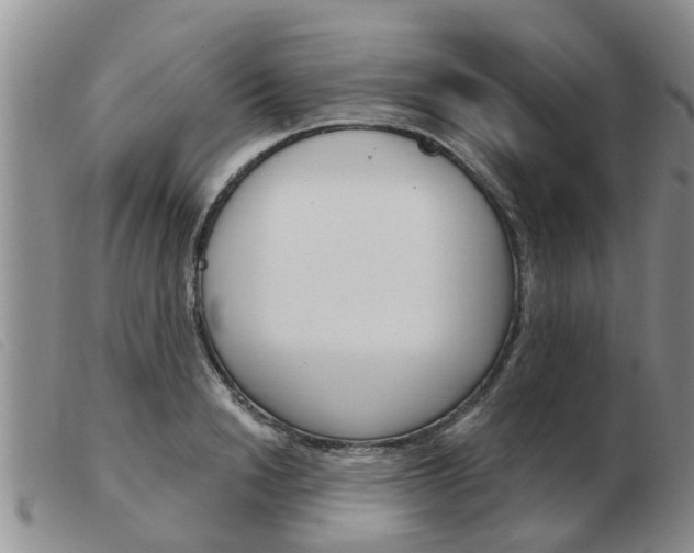 X0000103930846200809191121