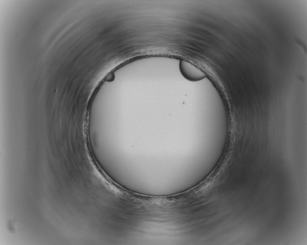 X0000103930847200809191121