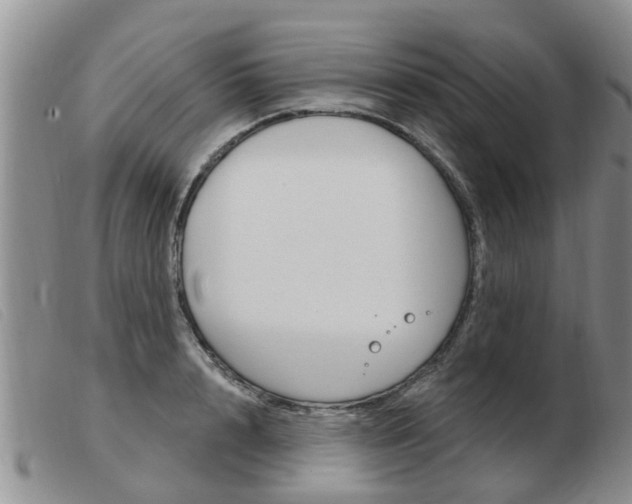 X0000103930848200809191121