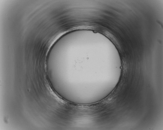 X0000103930852200809191121