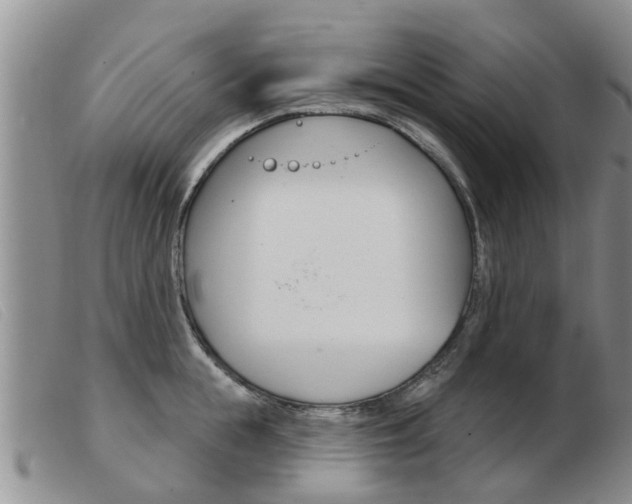 X0000103930855200809191121