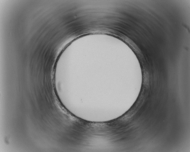 X0000103930856200809191121