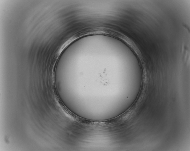 X0000103930858200809191121