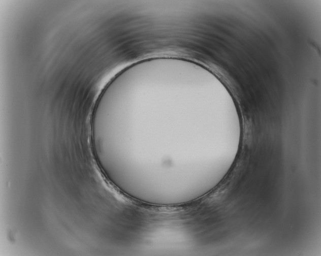 X0000103930862200809191122