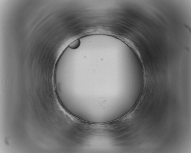 X0000103930863200809191122
