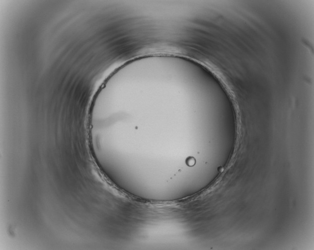 X0000103930864200809191122