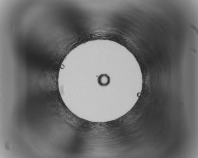 X0000103930868200809191121