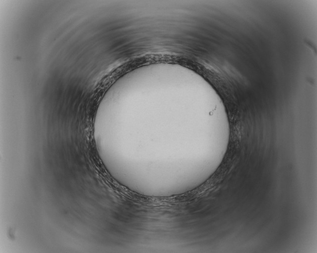 X0000103930870200809191121